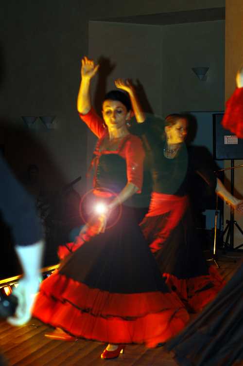 Images/flamenco02.jpg