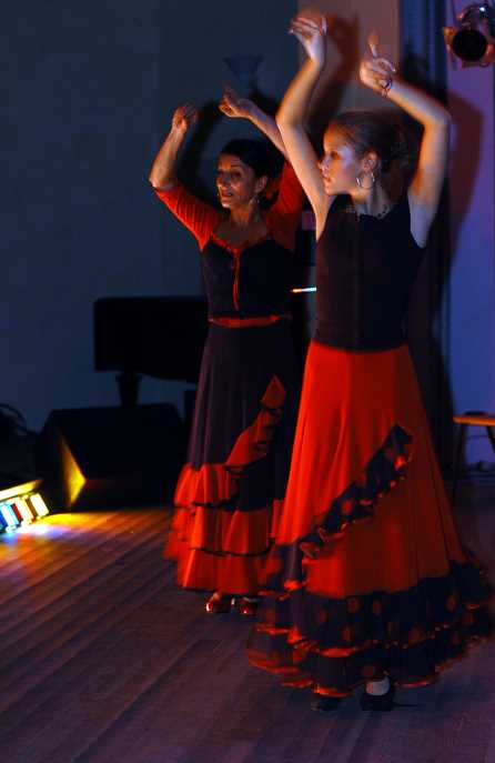 Images/flamenco03.jpg
