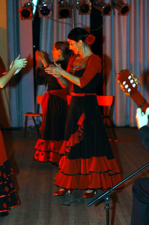 Images/flamenco04.jpg